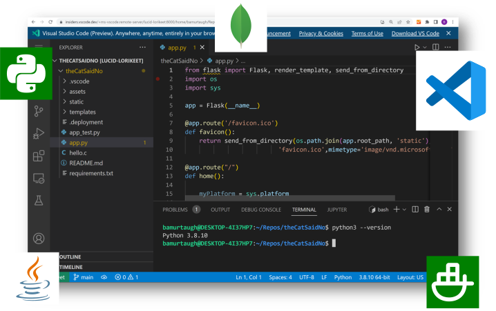 custom software development